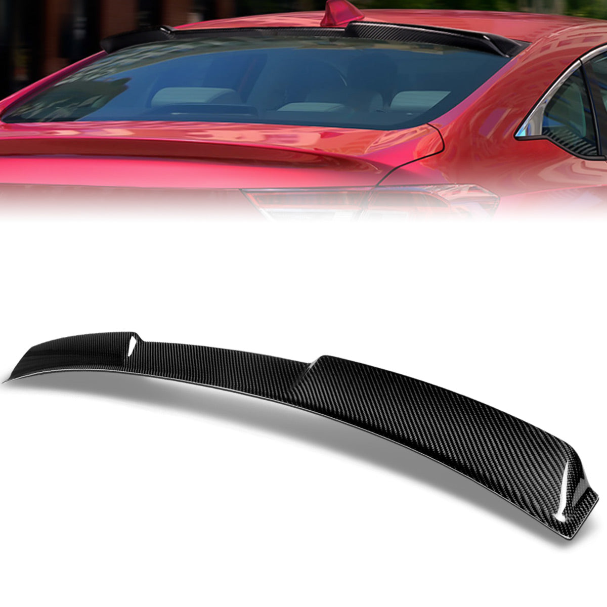 Stay Tuned Performance, 18-21 Honda Accord STP-Style Rear Window Windshield Roof Spoiler - Carbon Fiber