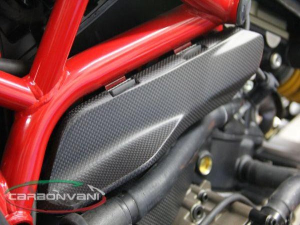 Carbonvani, CARBONVANI Ducati Monster 1200 (2017+) Carbon Engine Panel (upper; left)