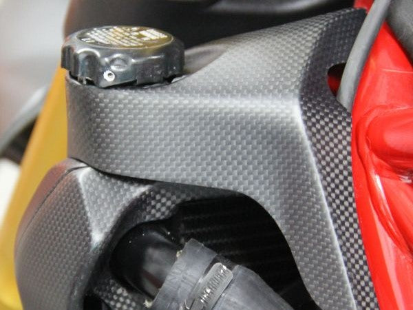 Carbonvani, CARBONVANI Ducati Monster 1200/821 (14/17) Carbon Water Cooler Cap Cover