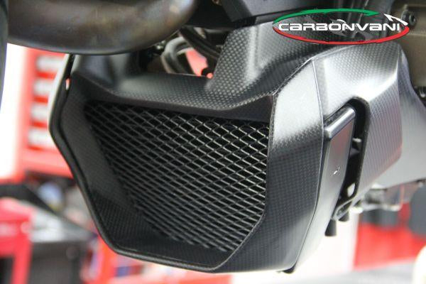 Carbonvani, CARBONVANI Ducati Monster 1200/821 (2014+) Carbon Oil Cooler Protection Kit