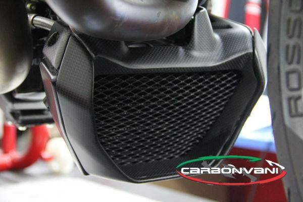 Carbonvani, CARBONVANI Ducati Monster 1200/821 (2014+) Carbon Oil Cooler Protection Kit