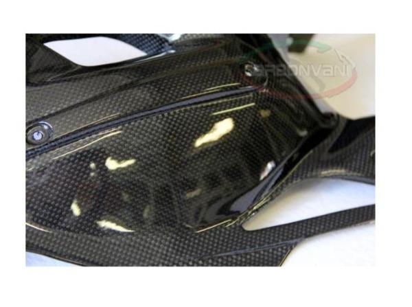 Carbonvani, CARBONVANI MV Agusta F4 1000 (10/19) Carbon Swingarm Guard